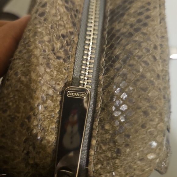 Coach Cambell Me Iridescent Python  Crossbody Bag F24849 –Rare& Stunning - Picture 13 of 16